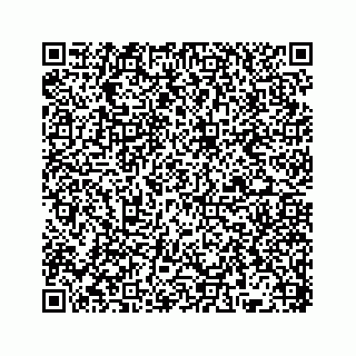 vCard 78136382009