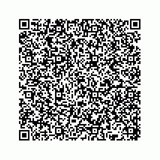vCard 78136382080