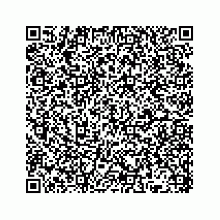 vCard 78136382090
