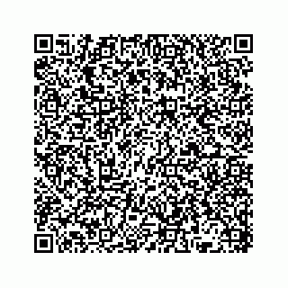 vCard 78136382101