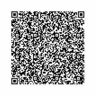 vCard 78136382103