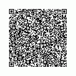 vCard 78136382121