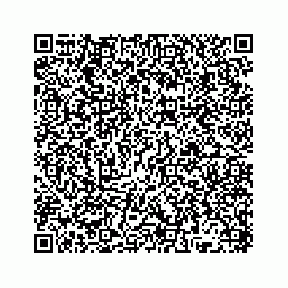 vCard 78136382201