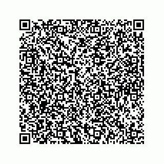 vCard 78136438333