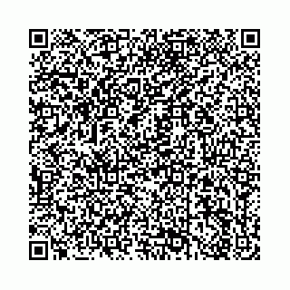 vCard 78136456295