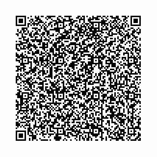 vCard 78136456313