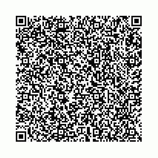 vCard 78136456331