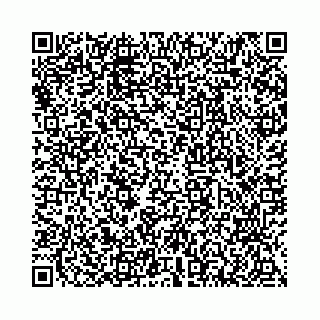 vCard 78136456381