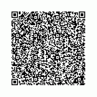 vCard 78136600081