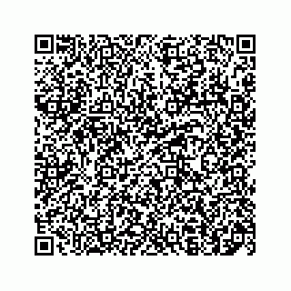 vCard 78136600101