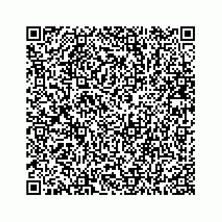 vCard 78136600110