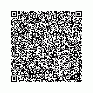 vCard 78136600113