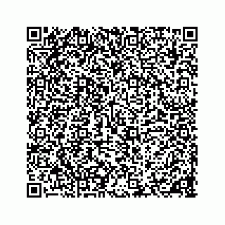 vCard 78136600119