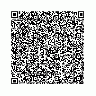 vCard 78136600133
