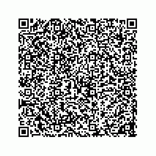 vCard 78136600163
