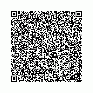 vCard 78136600181