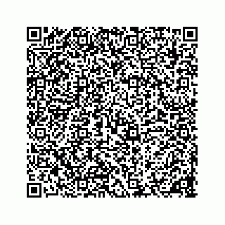 vCard 78136600217