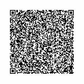vCard 78136600221