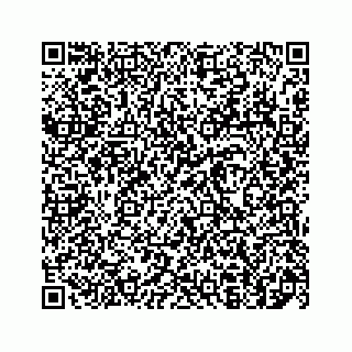vCard 78136600281
