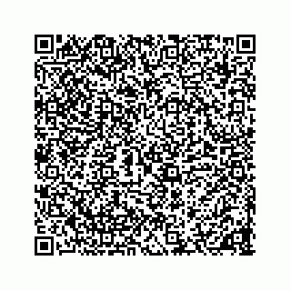 vCard 78136600300