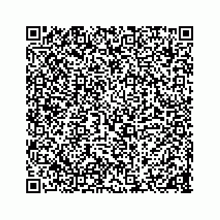 vCard 78136600308