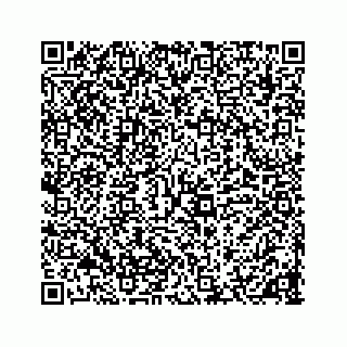 vCard 78136600310