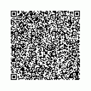 vCard 78136600379
