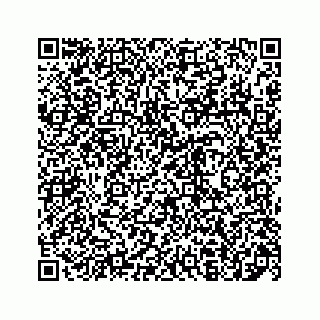 vCard 78136600380