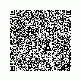 vCard 78136600381