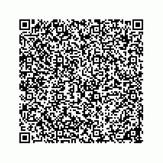 vCard 78136600383