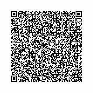 vCard 78136600384