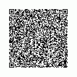 vCard 78136600387