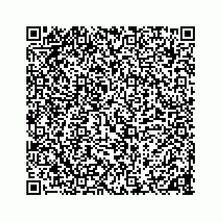vCard 78136600388