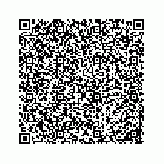 vCard 78136600389