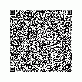 vCard 78136653333