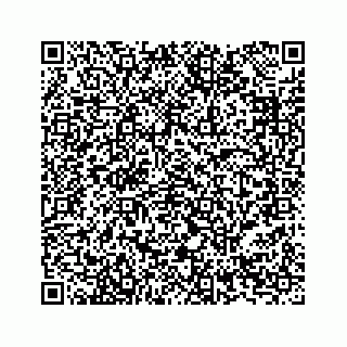 vCard 78136841981