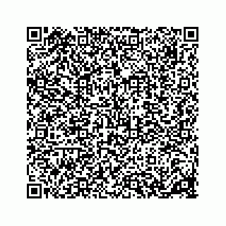 vCard 78136979380
