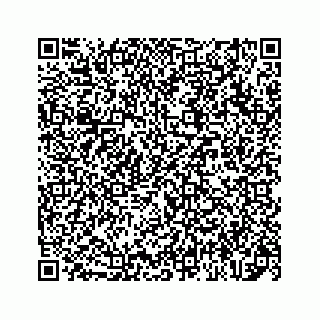 vCard 78137000173