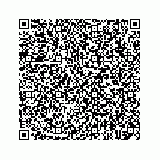 vCard 78137001181