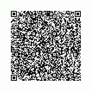 vCard 78137009739