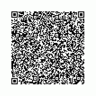 vCard 78137009777