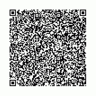 vCard 78137019983