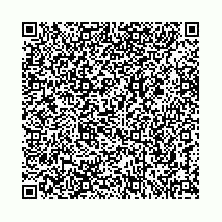 vCard 78137099100