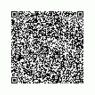 vCard 78137100039