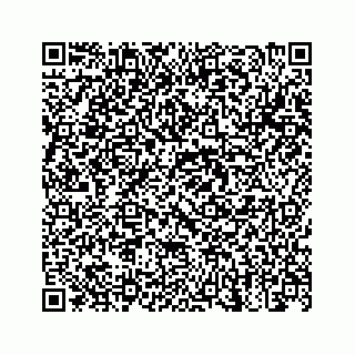 vCard 78137128331