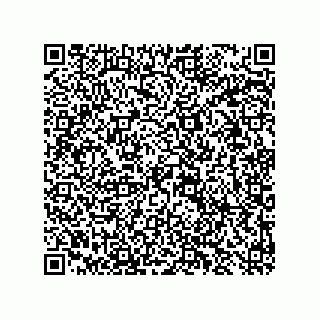 vCard 78137265331