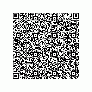 vCard 78137267381