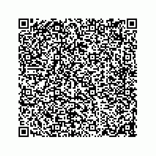 vCard 78137363332