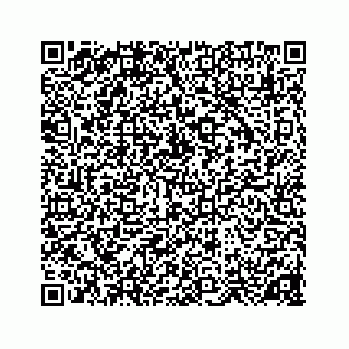 vCard 78137476100