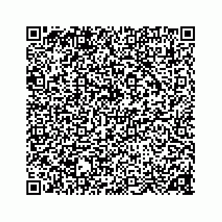 vCard 78137476387